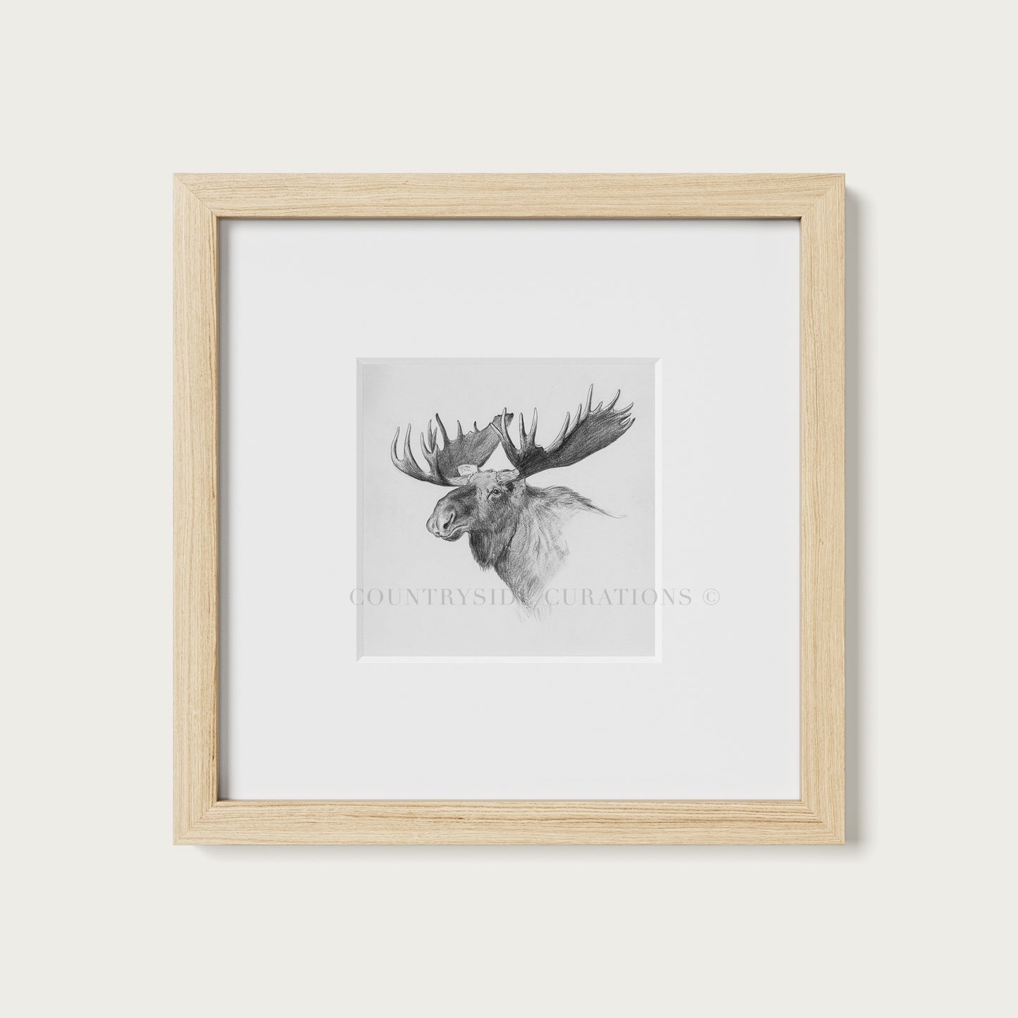 Moose Wall Art Print Detailed Antler Wildlife Sketch