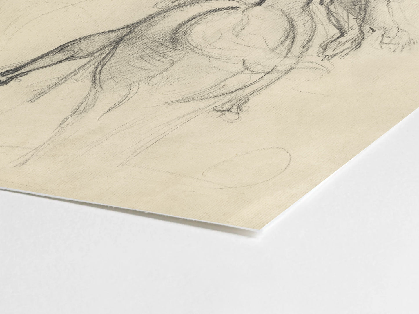 Equestrian Horse and Rider Sketch Art Print