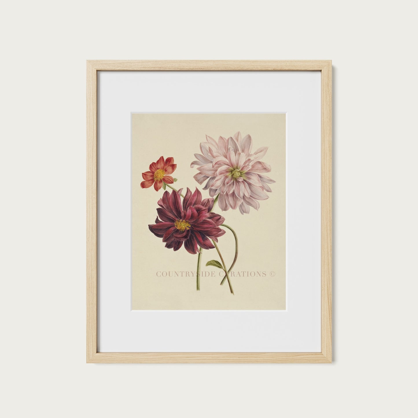 Dahlia Botanical Floral Study Oil Painting Art Print