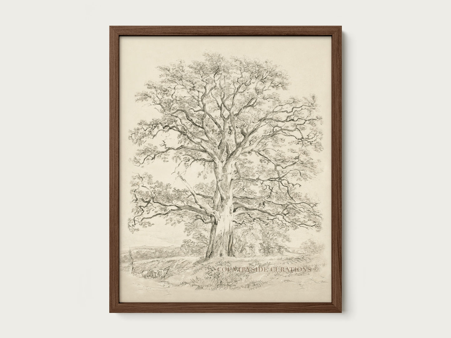 Old Oak tree is framed vintage wall art featuring a detailed pencil sketch of a large tree with spreading branches and a textured trunk, in a dark wooden frame.