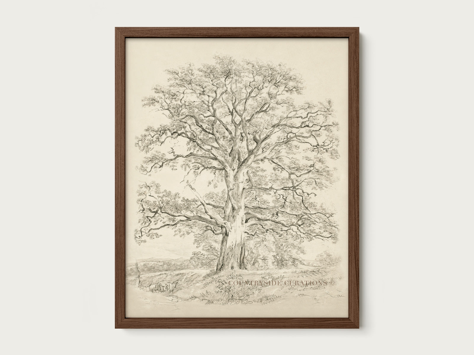 Old Oak tree is framed vintage wall art featuring a detailed pencil sketch of a large tree with spreading branches and a textured trunk, in a dark wooden frame.