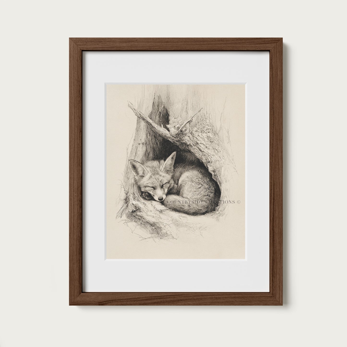 Fox Sketch Wall Art Sleeping Woodland Burrow Print