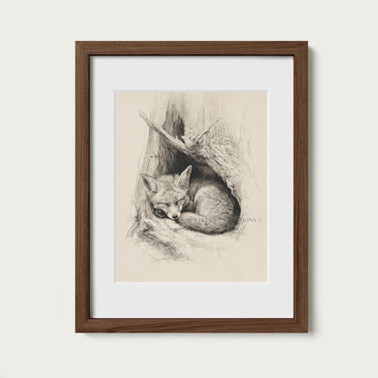 Fox Sketch Wall Art Sleeping Woodland Burrow Print