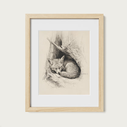 Fox Sketch Wall Art Sleeping Woodland Burrow Print