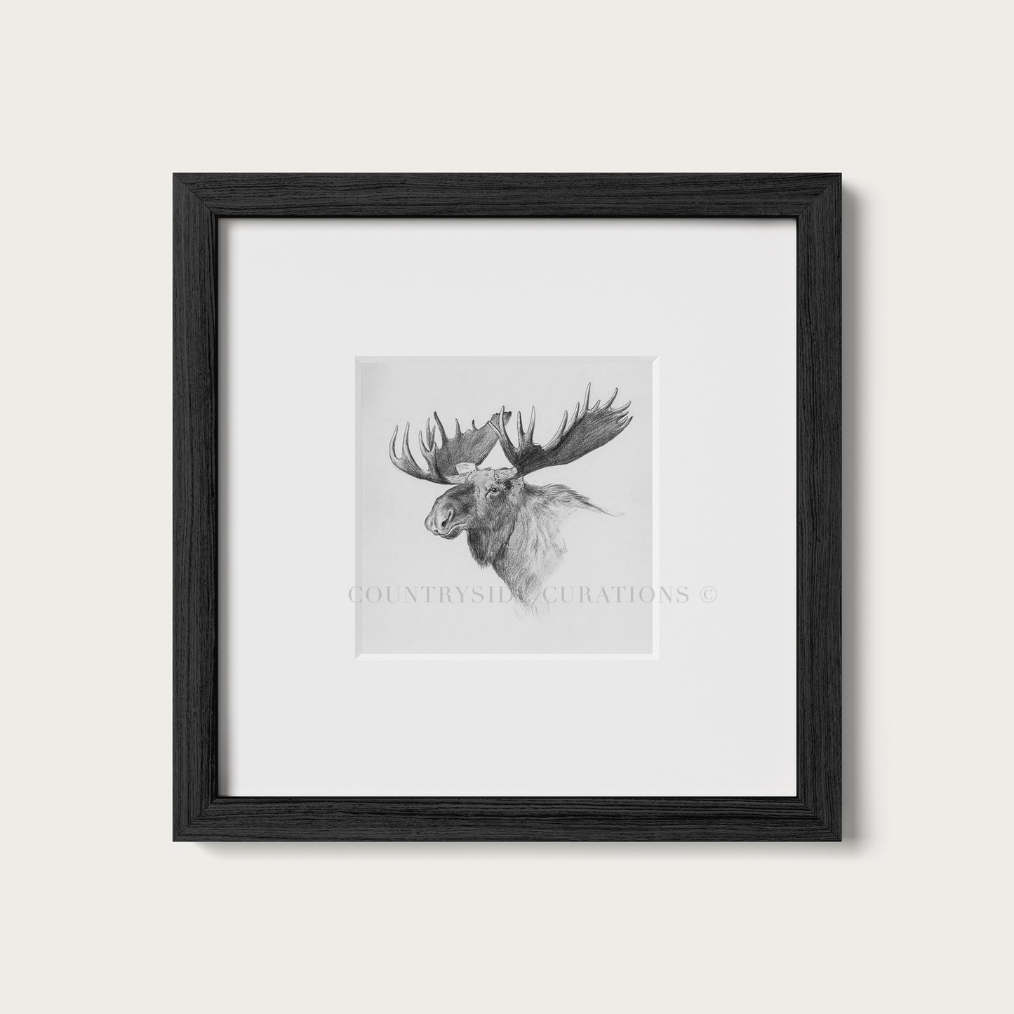 Moose Wall Art Print Detailed Antler Wildlife Sketch