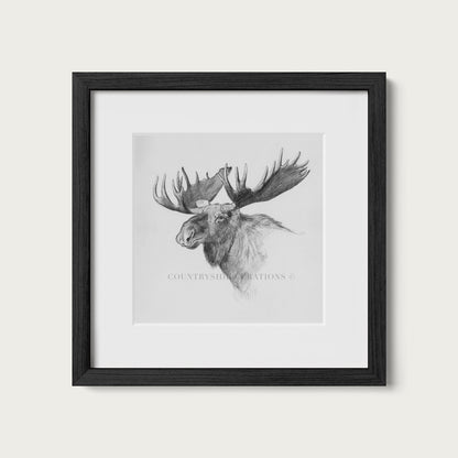 Moose Wall Art Print Detailed Antler Wildlife Sketch