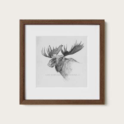 Moose Wall Art Print Detailed Antler Wildlife Sketch