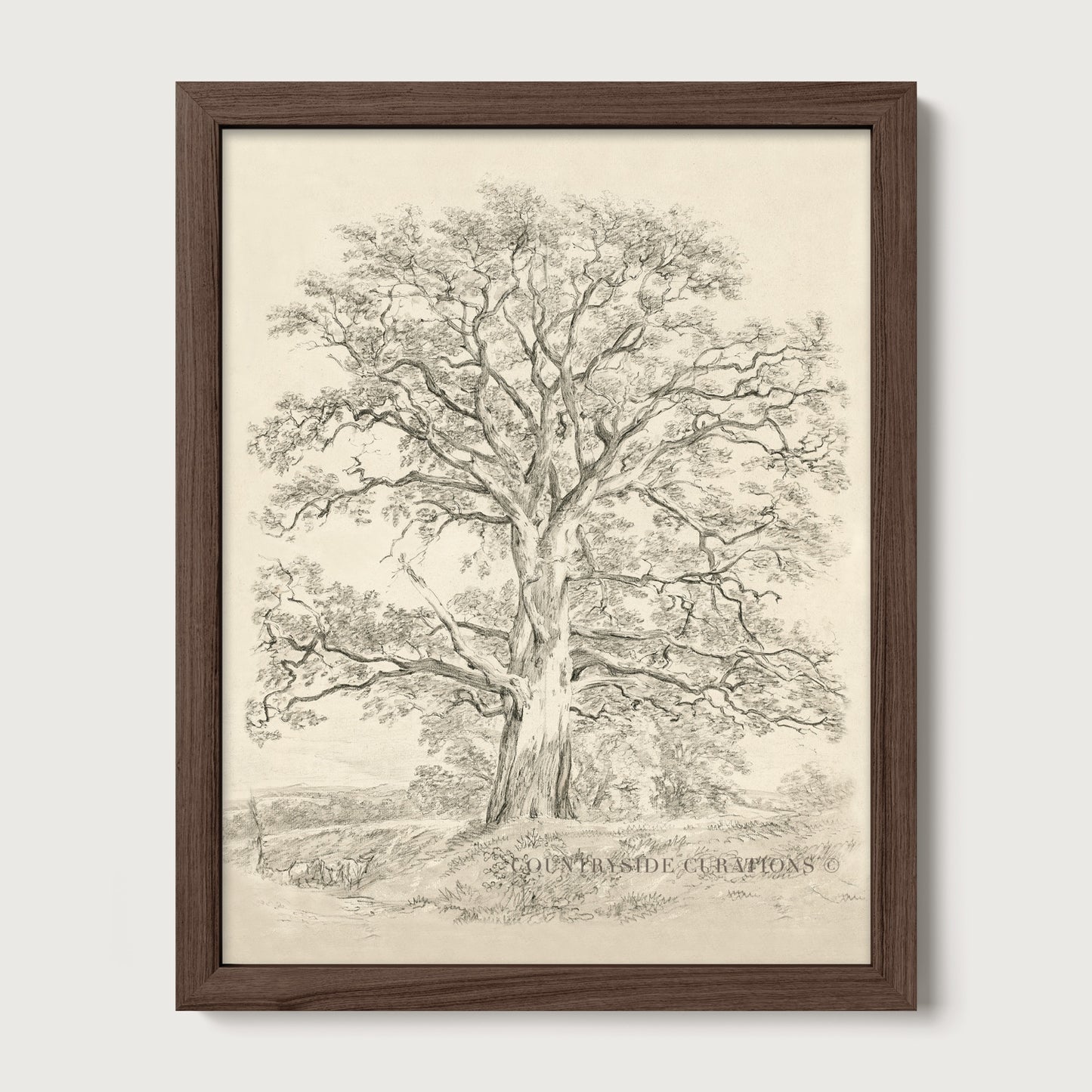 Old Oak tree is framed vintage wall art featuring a detailed sketch of a large tree with spreading branches and a textured trunk, set on a cream mat in a dark wooden frame.