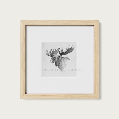 Moose Wall Art Print Detailed Antler Wildlife Sketch