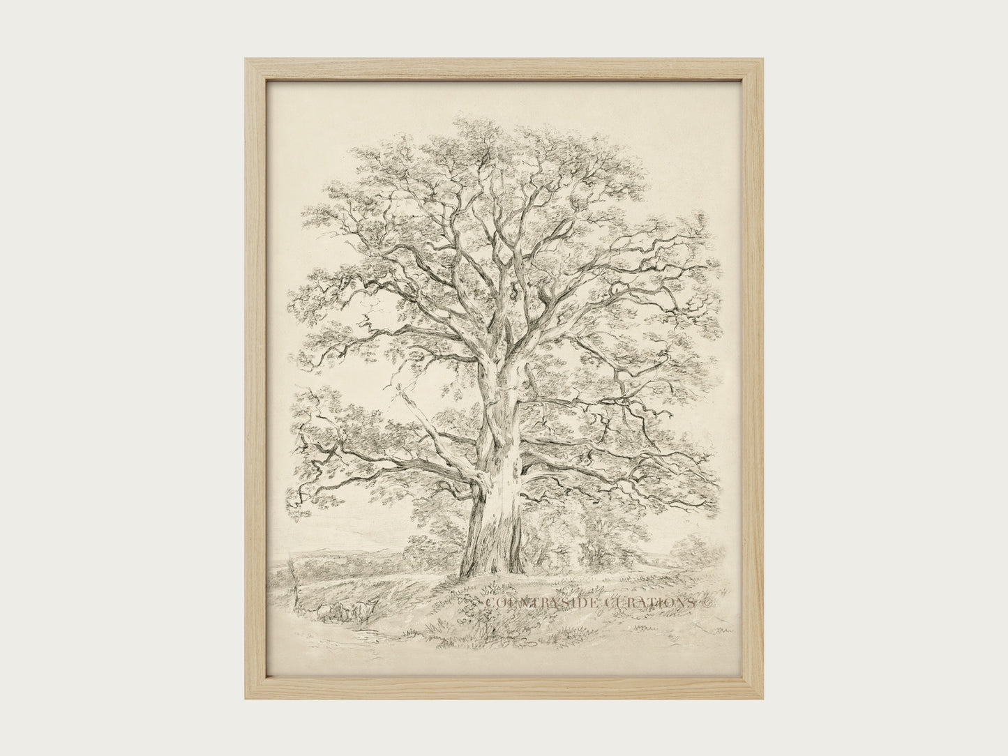 Old Oak tree is framed vintage wall art featuring a detailed sketch of a large tree with spreading branches and a textured trunk, set on a cream mat in a dark wooden frame.