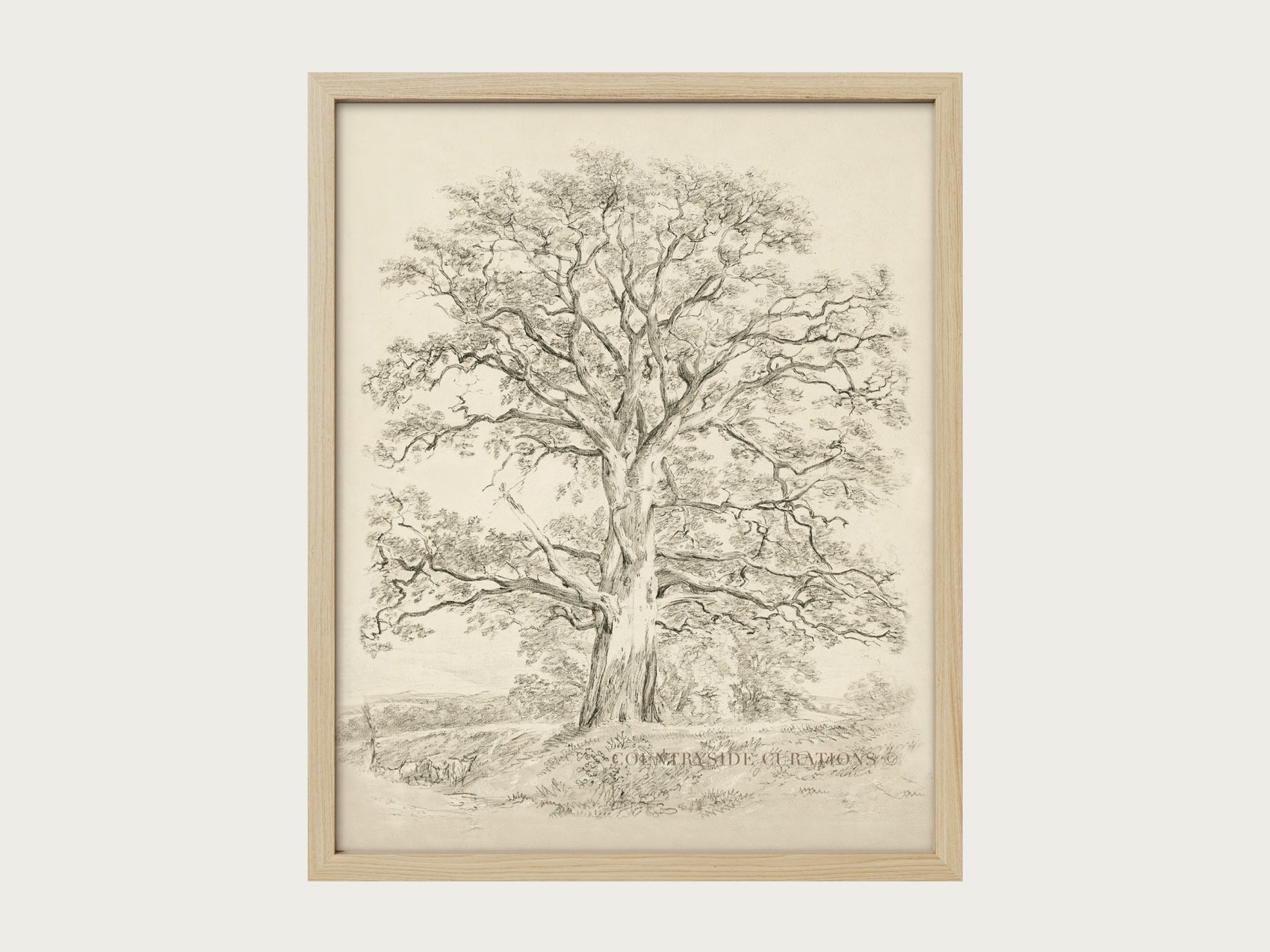 Old Oak tree is framed vintage wall art featuring a detailed sketch of a large tree with spreading branches and a textured trunk, set on a cream mat in a dark wooden frame.