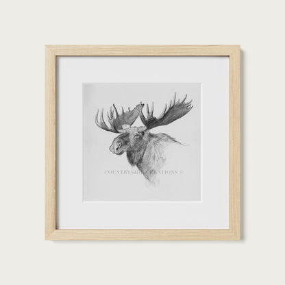 Moose Wall Art Print Detailed Antler Wildlife Sketch