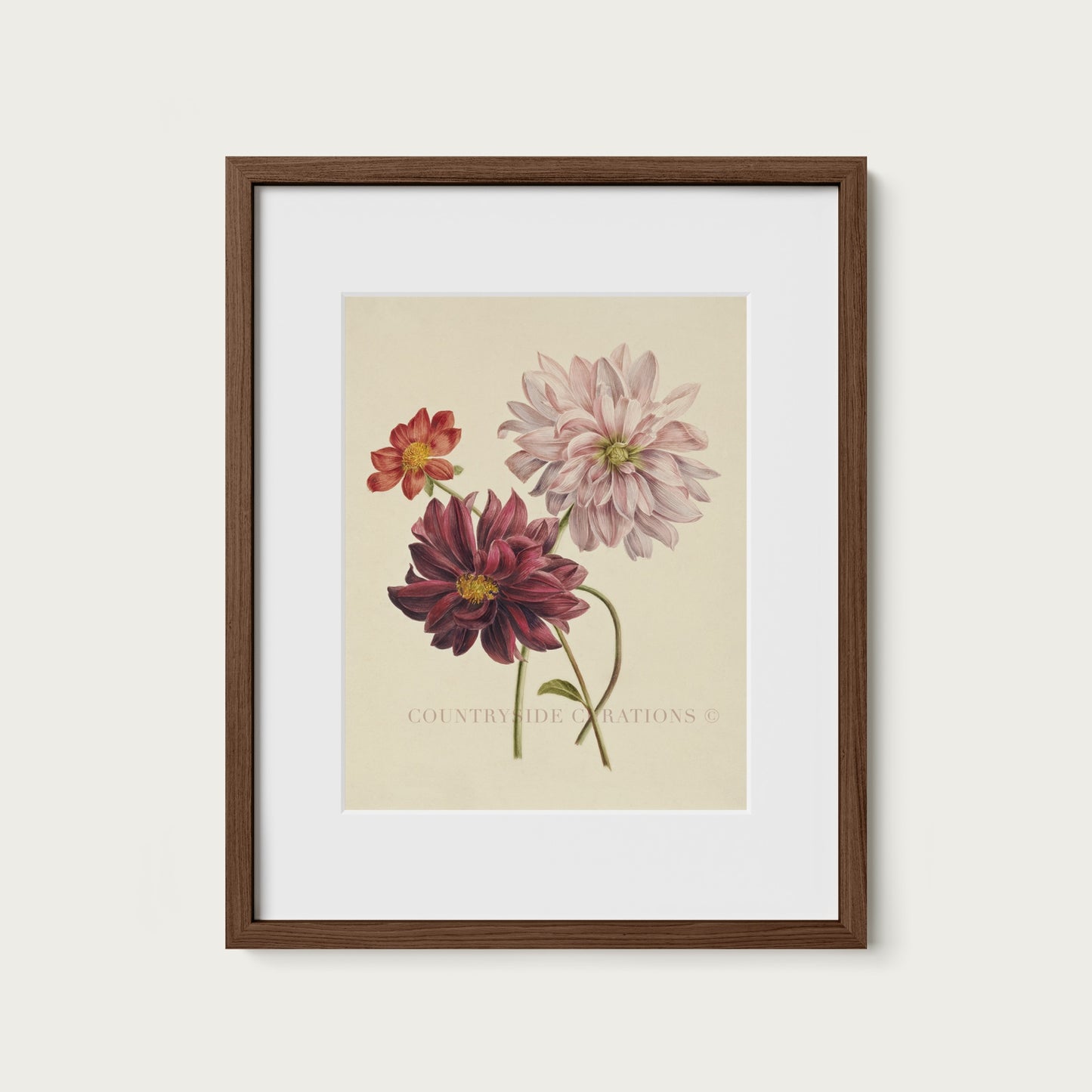 Dahlia Botanical Floral Study Oil Painting Art Print