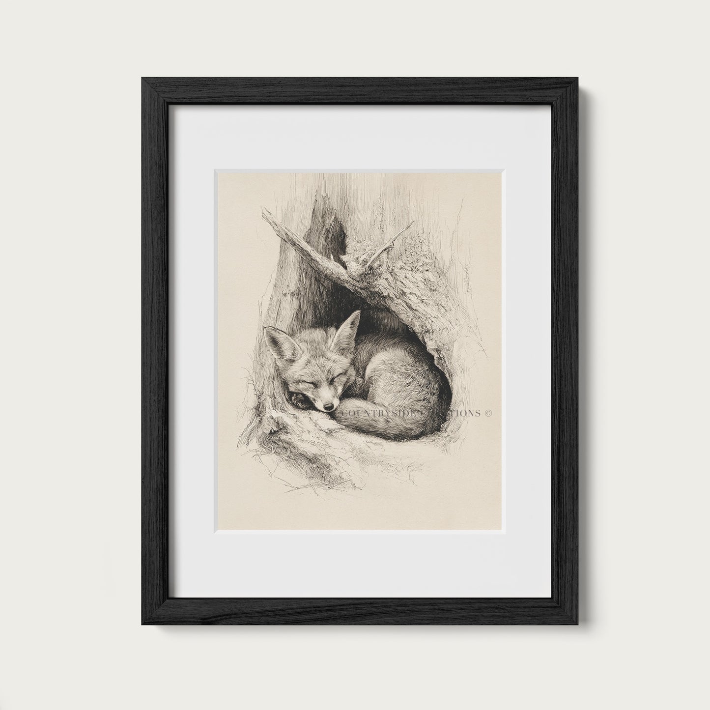 Fox Sketch Wall Art Sleeping Woodland Burrow Print