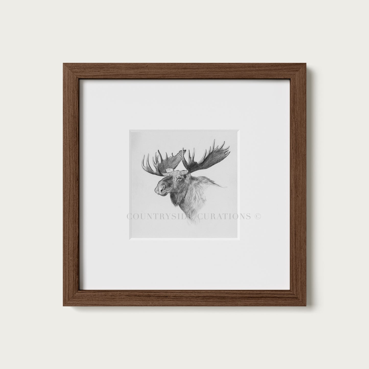 Moose Wall Art Print Detailed Antler Wildlife Sketch