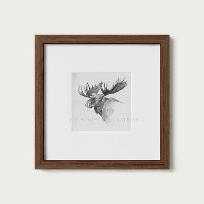 Moose Wall Art Print Detailed Antler Wildlife Sketch