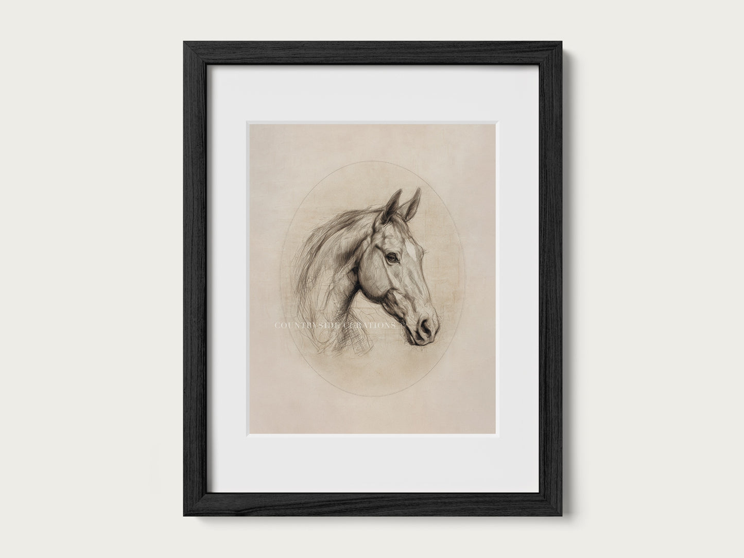 Equestrian horse portrait drawing with delicate pencil lines and neutral background in a timeless composition.