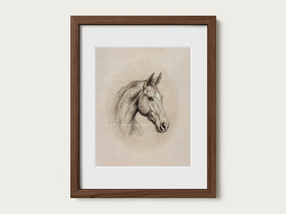 Antique style horse sketch print showing detailed facial features and soft shading in a refined study.
