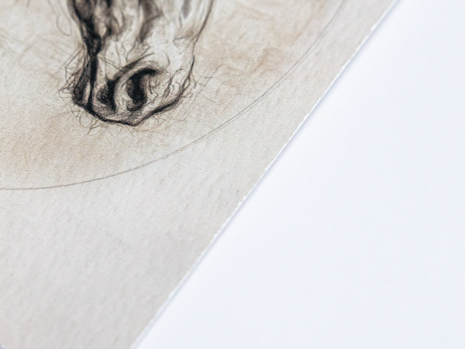 Traditional horse portrait sketch with fine detail and soft shading, suited for English country interiors.