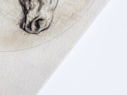 Traditional horse portrait sketch with fine detail and soft shading, suited for English country interiors.