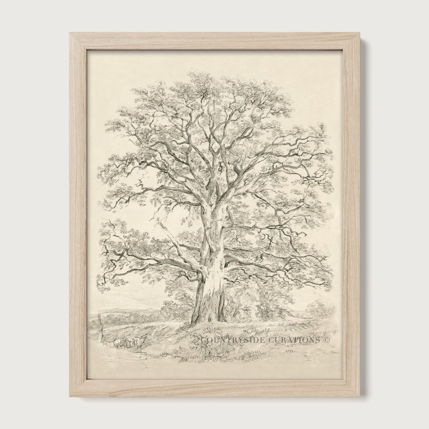 Vintage pencil sketch of a large oak tree with detailed branches and soft landscape background in neutral tones.