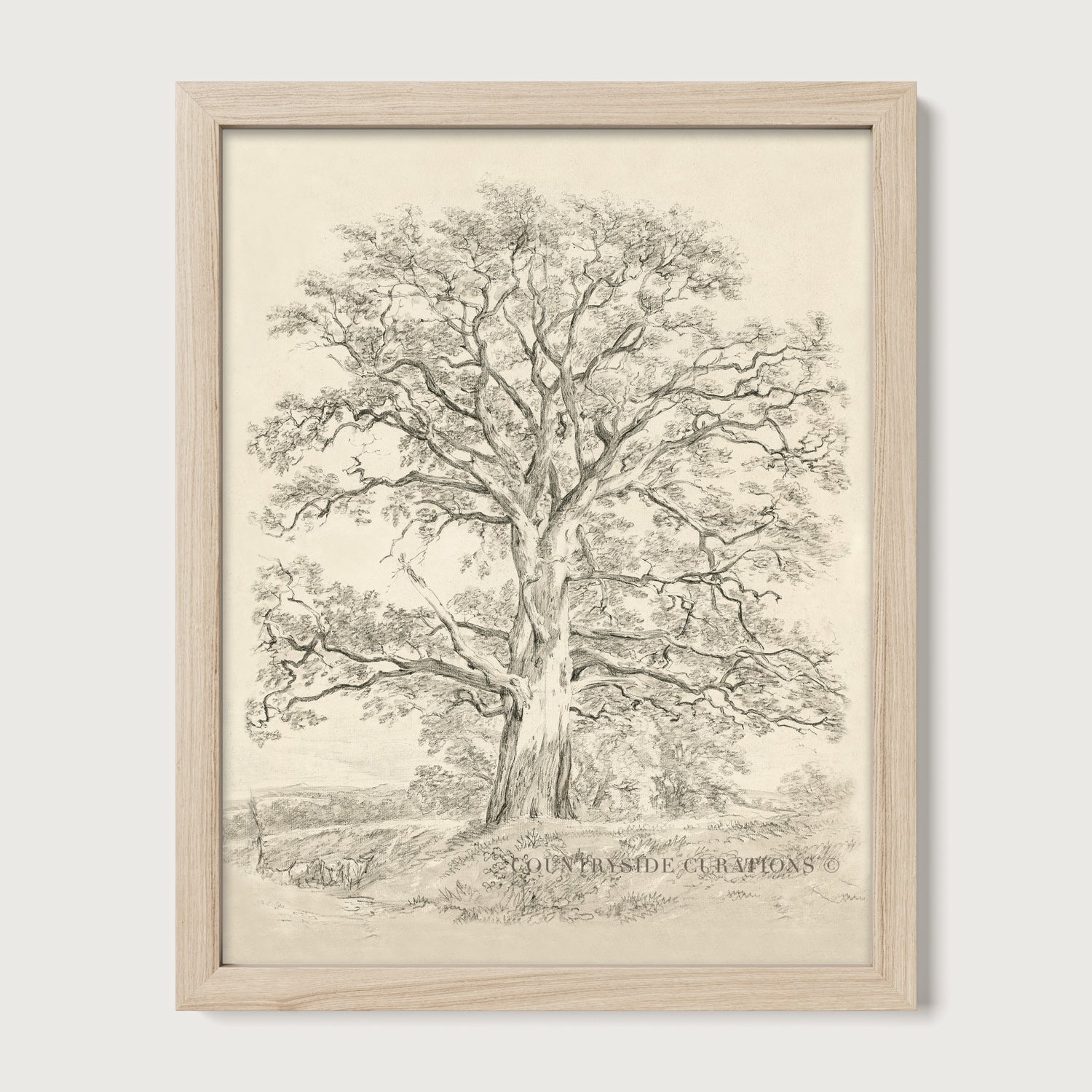 Vintage pencil sketch of a large oak tree with detailed branches and soft landscape background in neutral tones.