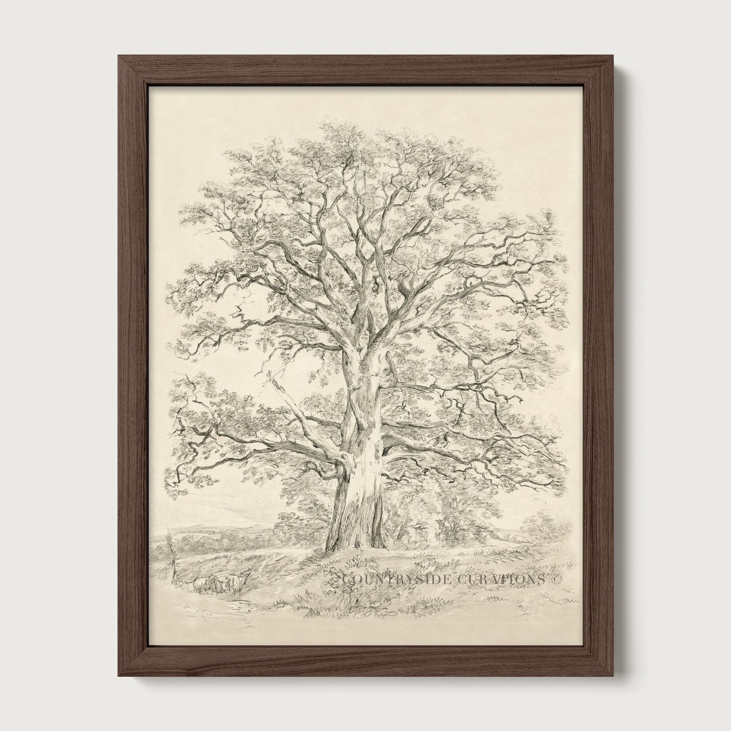 Rustic oak tree sketch artwork with delicate linework and subtle ground detail in a calm neutral composition.
